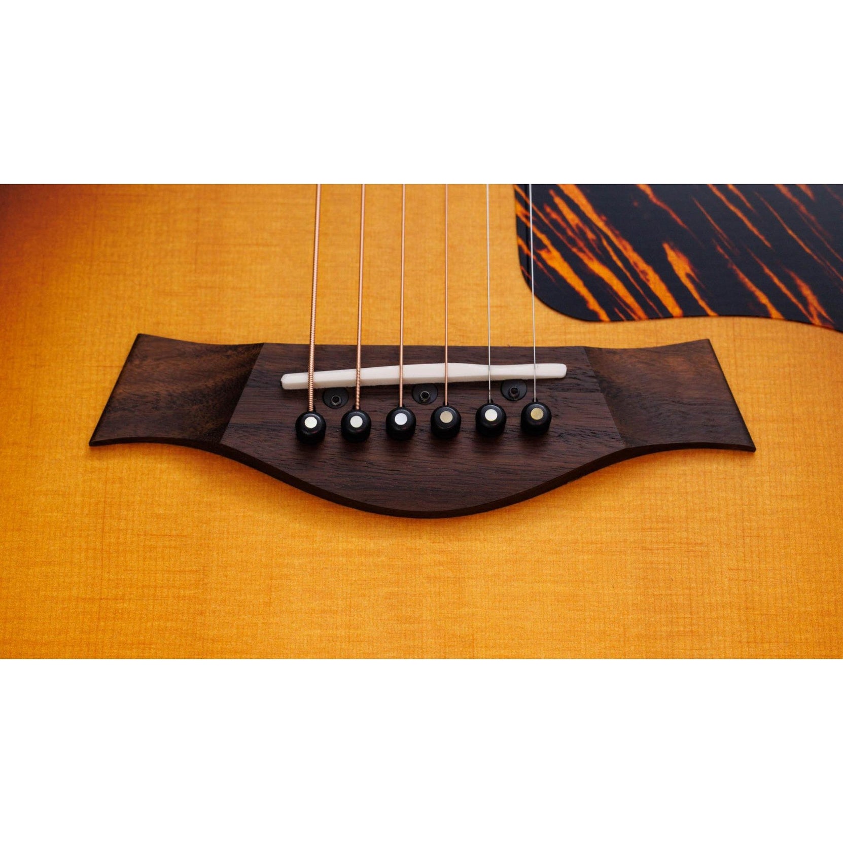 Đàn Guitar Acoustic Taylor 50th Anniversary AD14ce-SB LTD-Mai Nguyên Music
