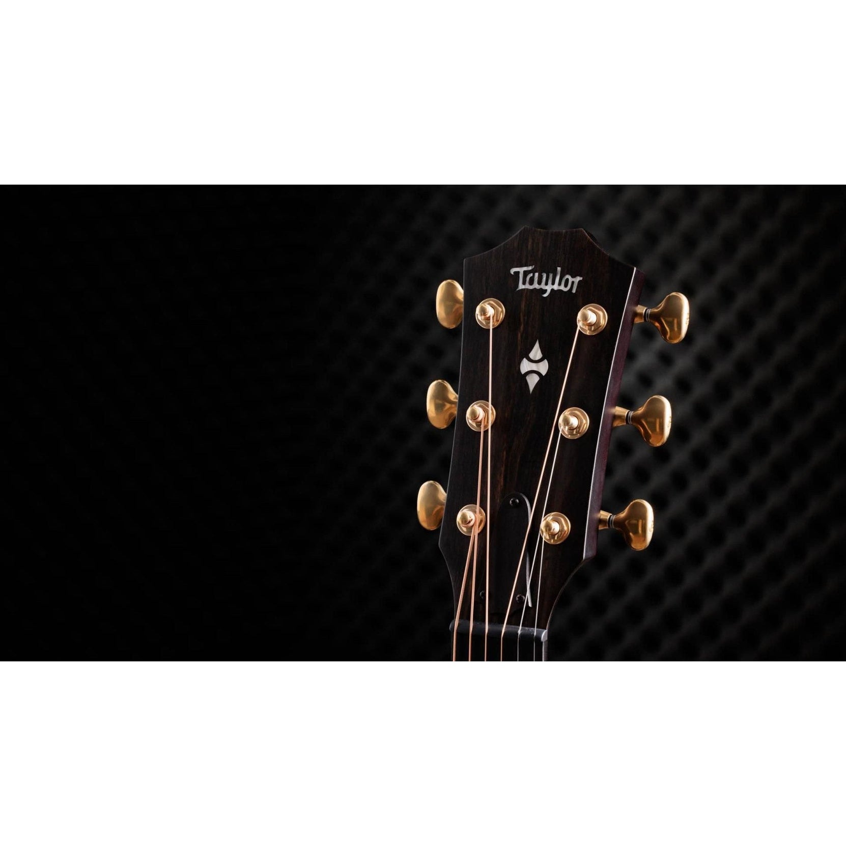 Đàn Guitar Acoustic Taylor 50th Anniversary Builder's Edition 314ce LTD-Mai Nguyên Music