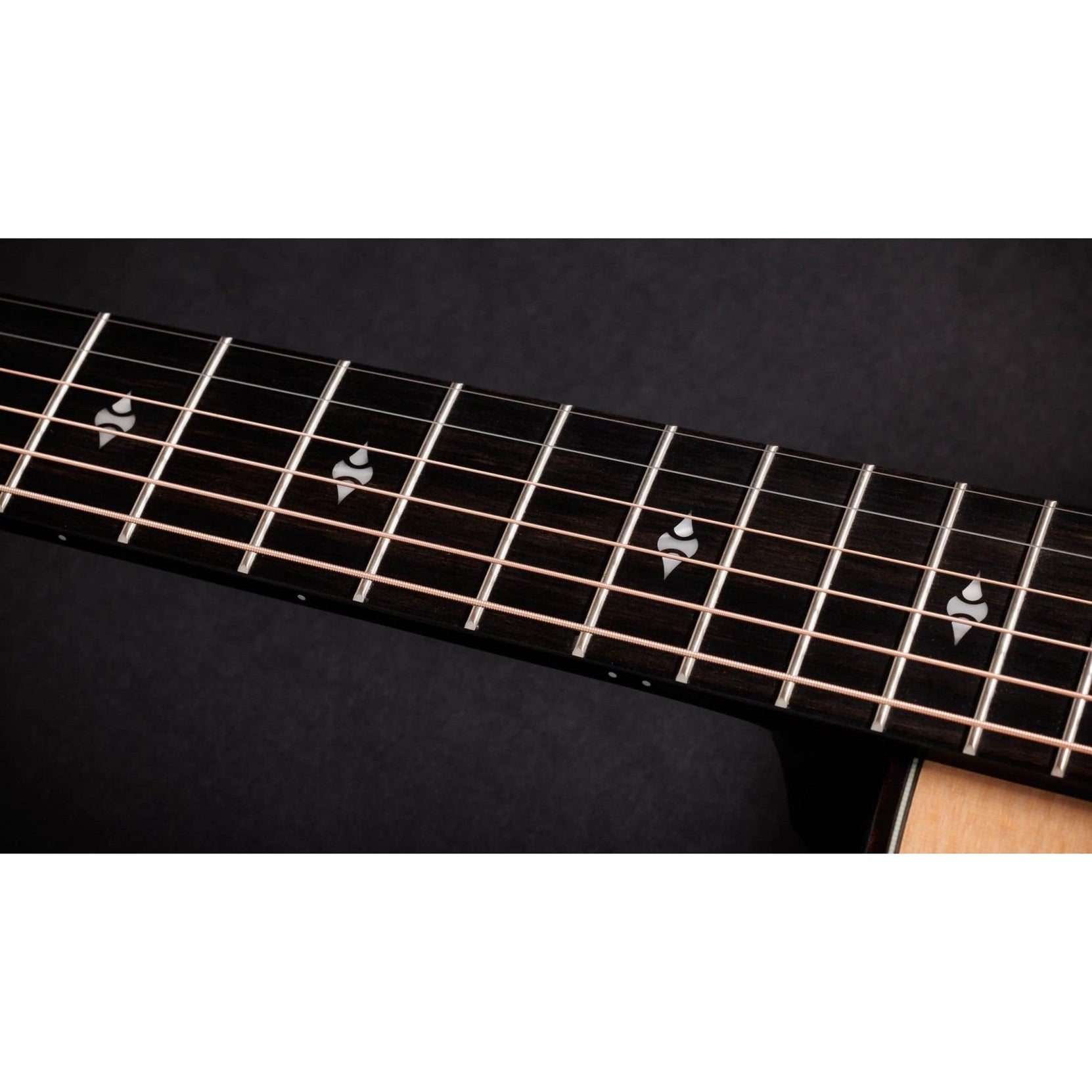 Đàn Guitar Acoustic Taylor 50th Anniversary Builder's Edition 314ce LTD-Mai Nguyên Music