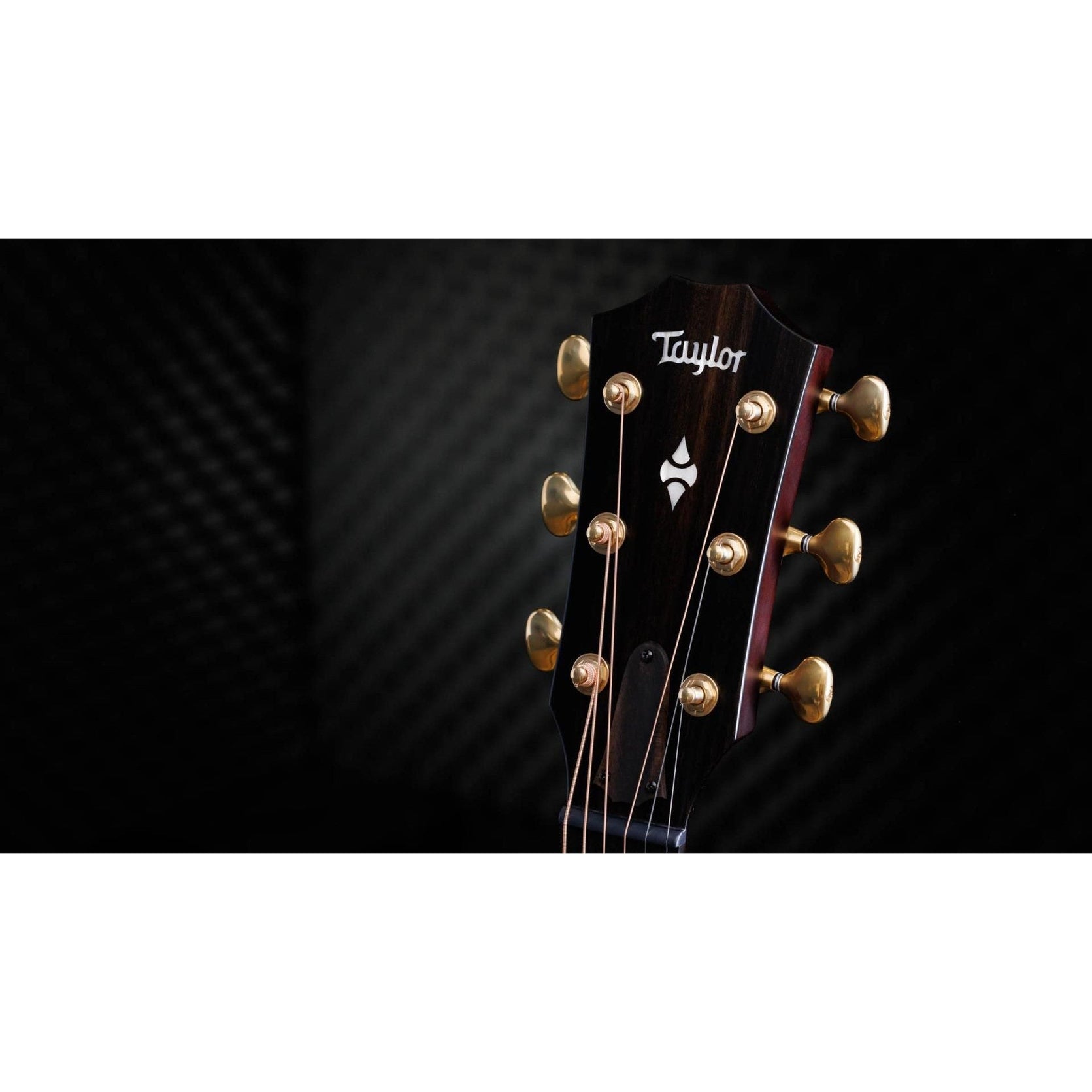 Đàn Guitar Acoustic Taylor 50th Anniversary Builder's Edition 314ce LTD-Mai Nguyên Music