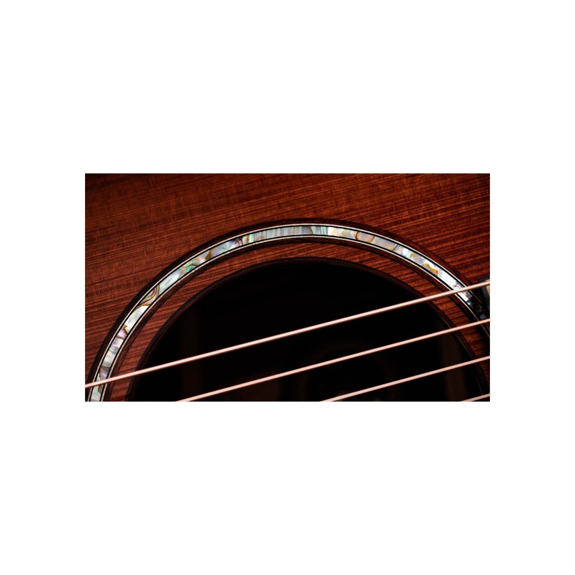 Đàn Guitar Acoustic Taylor 50th Anniversary Builder’s Edition 814ce LTD Shaded Edge Burst Top-Mai Nguyên Music