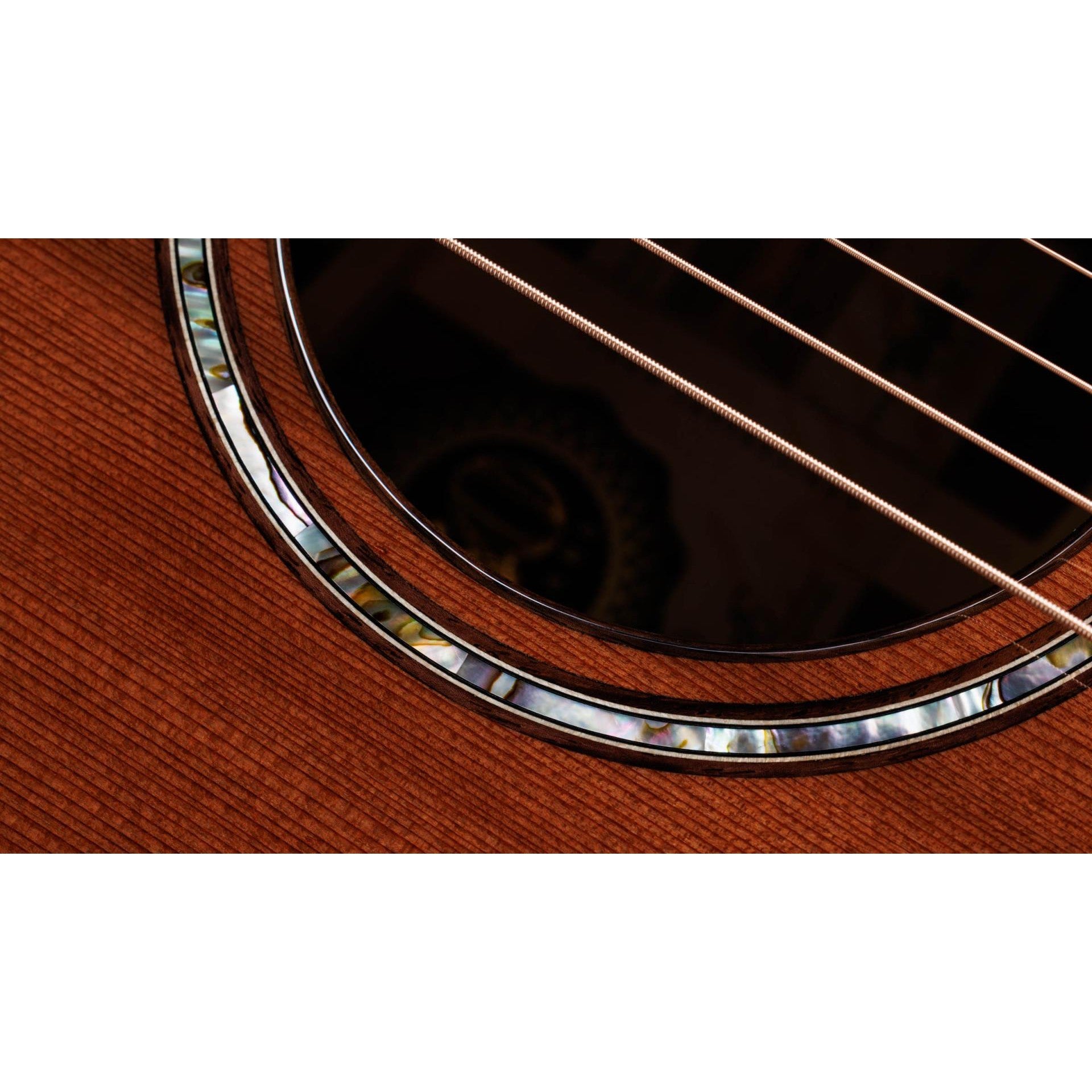 Đàn Guitar Acoustic Taylor 50th Anniversary Builder's Edition 814ce LTD w/Hardshell Case-Mai Nguyên Music