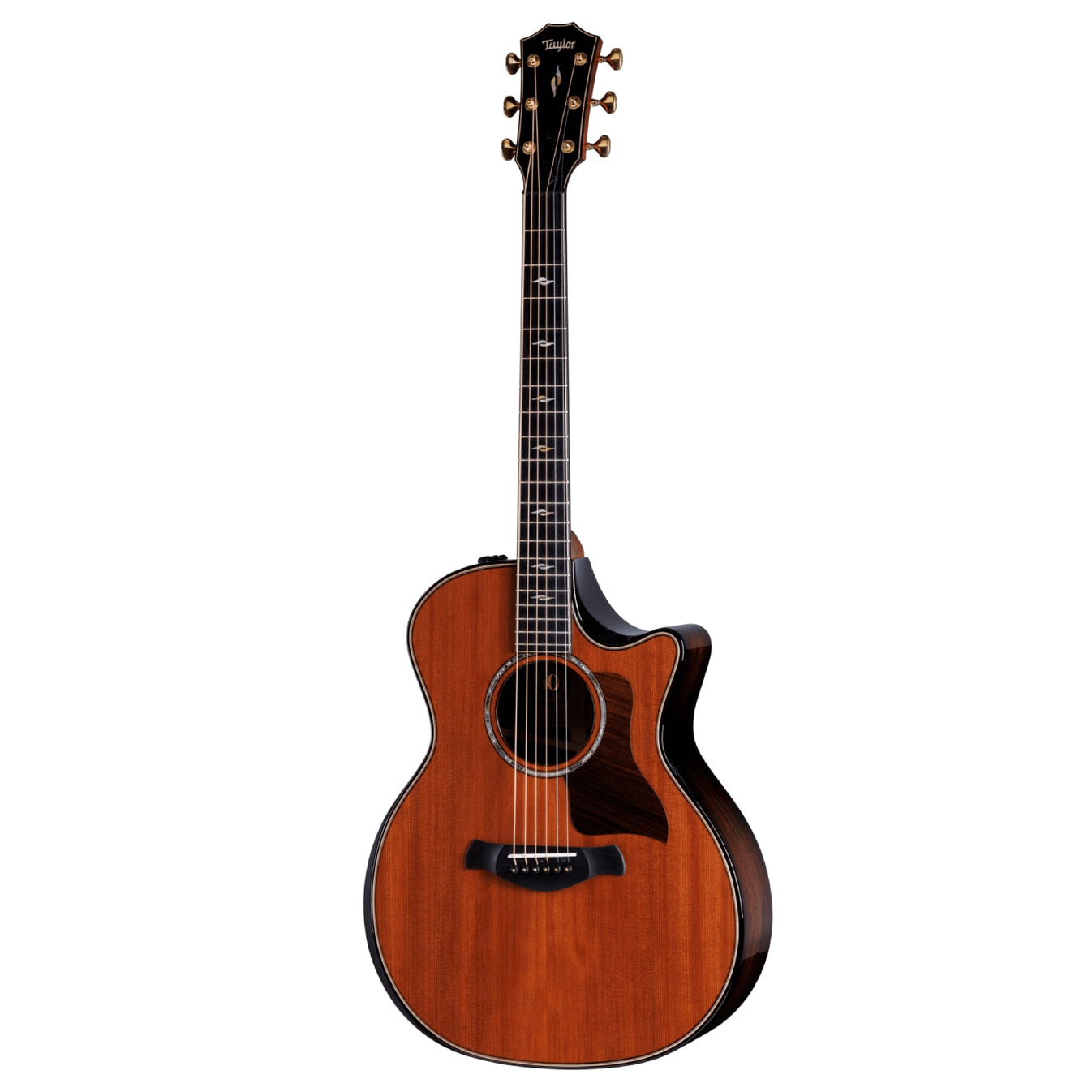 Đàn Guitar Acoustic Taylor 50th Anniversary Builder's Edition 814ce LTD w/Hardshell Case-Mai Nguyên Music