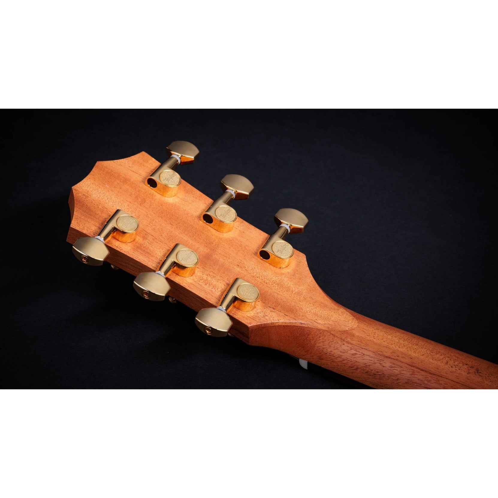 Đàn Guitar Acoustic Taylor 50th Anniversary GS Mini-e Rosewood LTD-Mai Nguyên Music