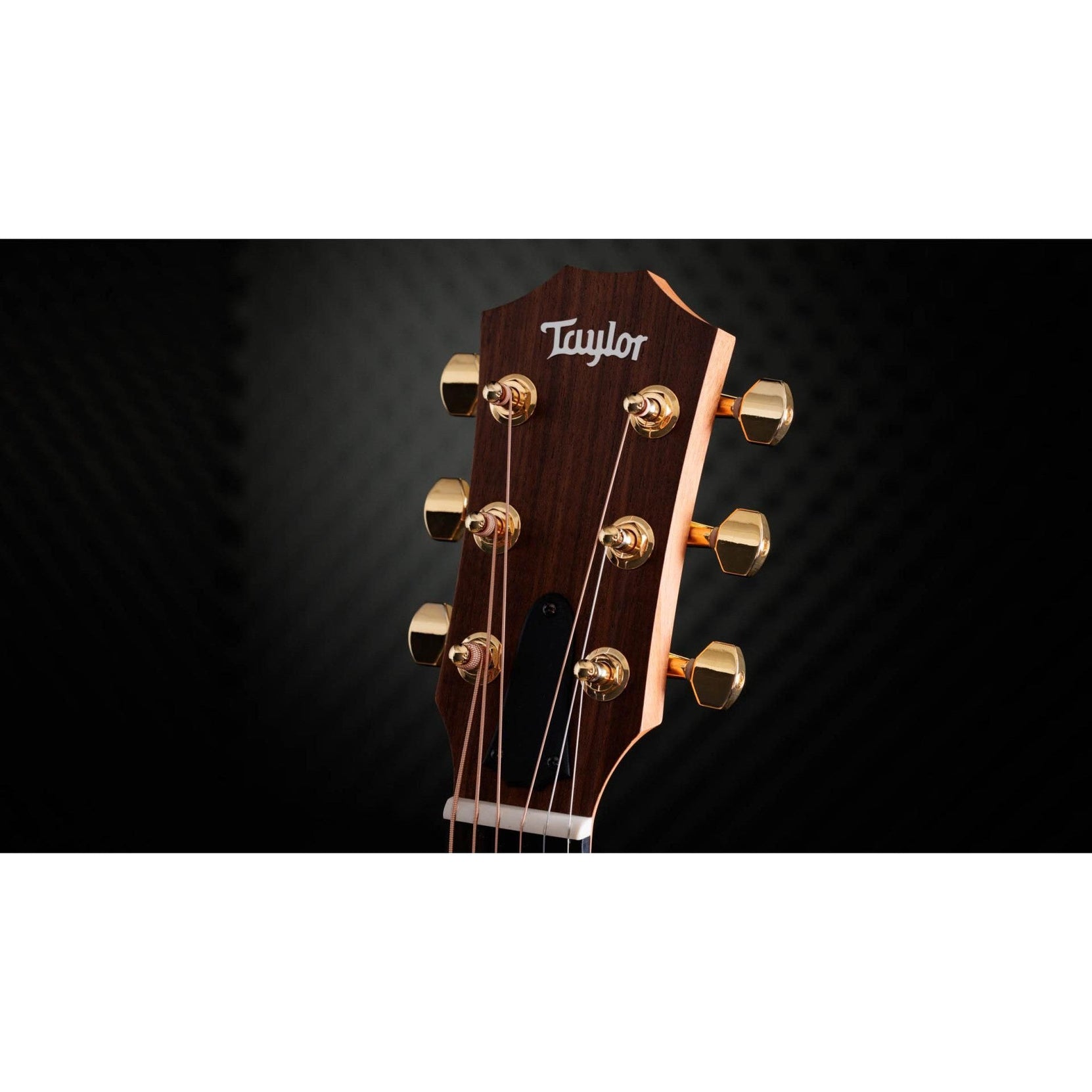 Đàn Guitar Acoustic Taylor 50th Anniversary GS Mini-e Rosewood SB LTD-Mai Nguyên Music