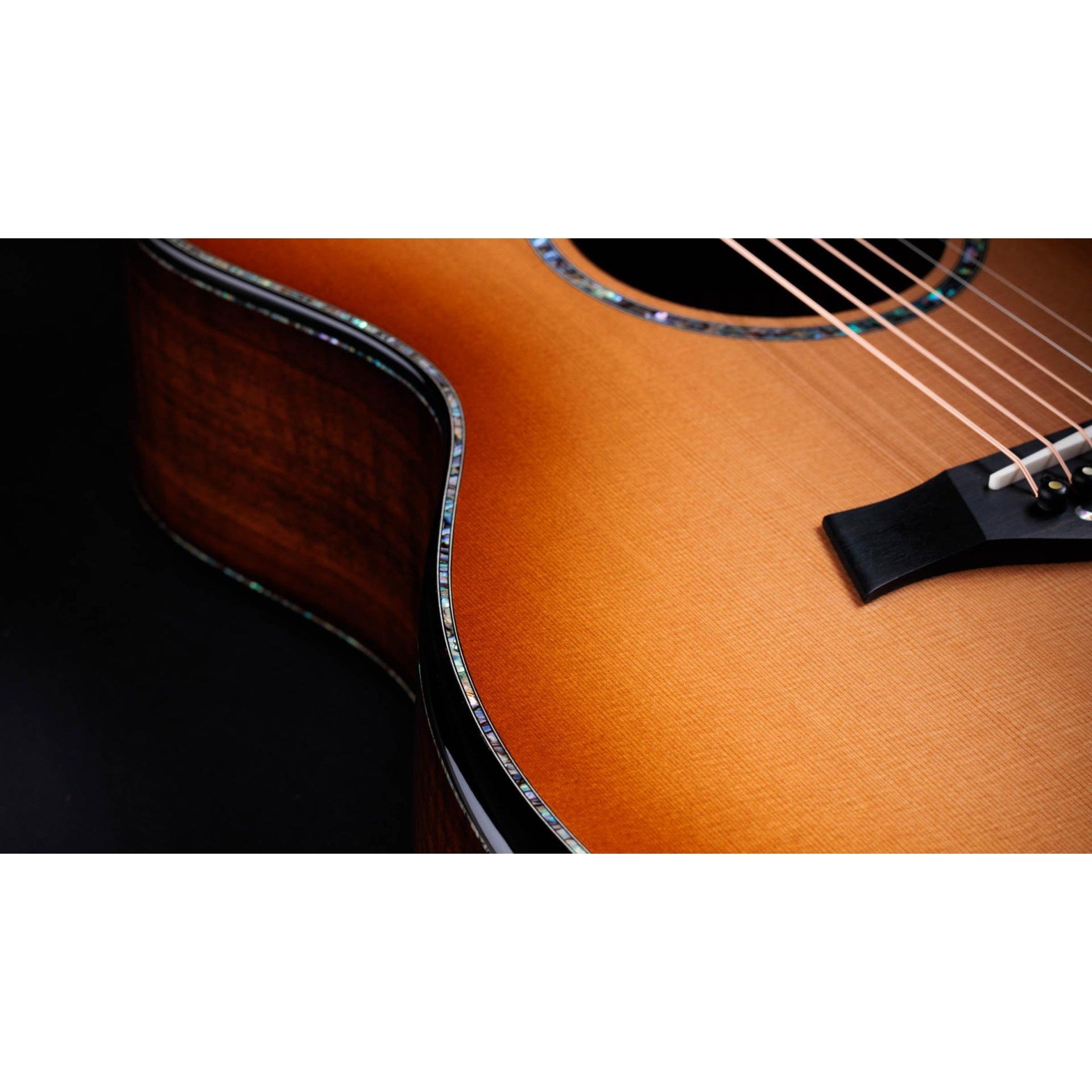 Đàn Guitar Acoustic Taylor 50th Anniversary PS14ce LTD & Circa 74 Amp-Mai Nguyên Music