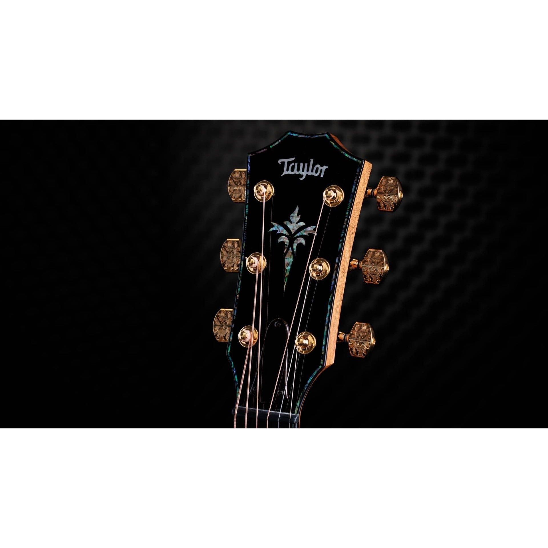 Đàn Guitar Acoustic Taylor 50th Anniversary PS14ce LTD & Circa 74 Amp-Mai Nguyên Music