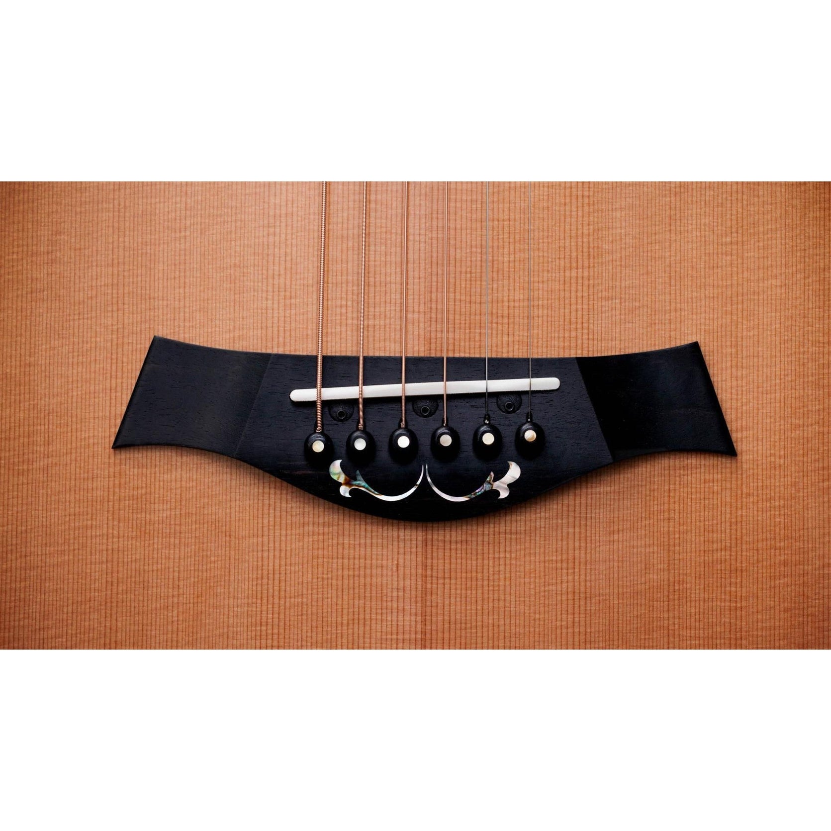 Đàn Guitar Acoustic Taylor 50th Anniversary PS14ce LTD & Circa 74 Amp-Mai Nguyên Music