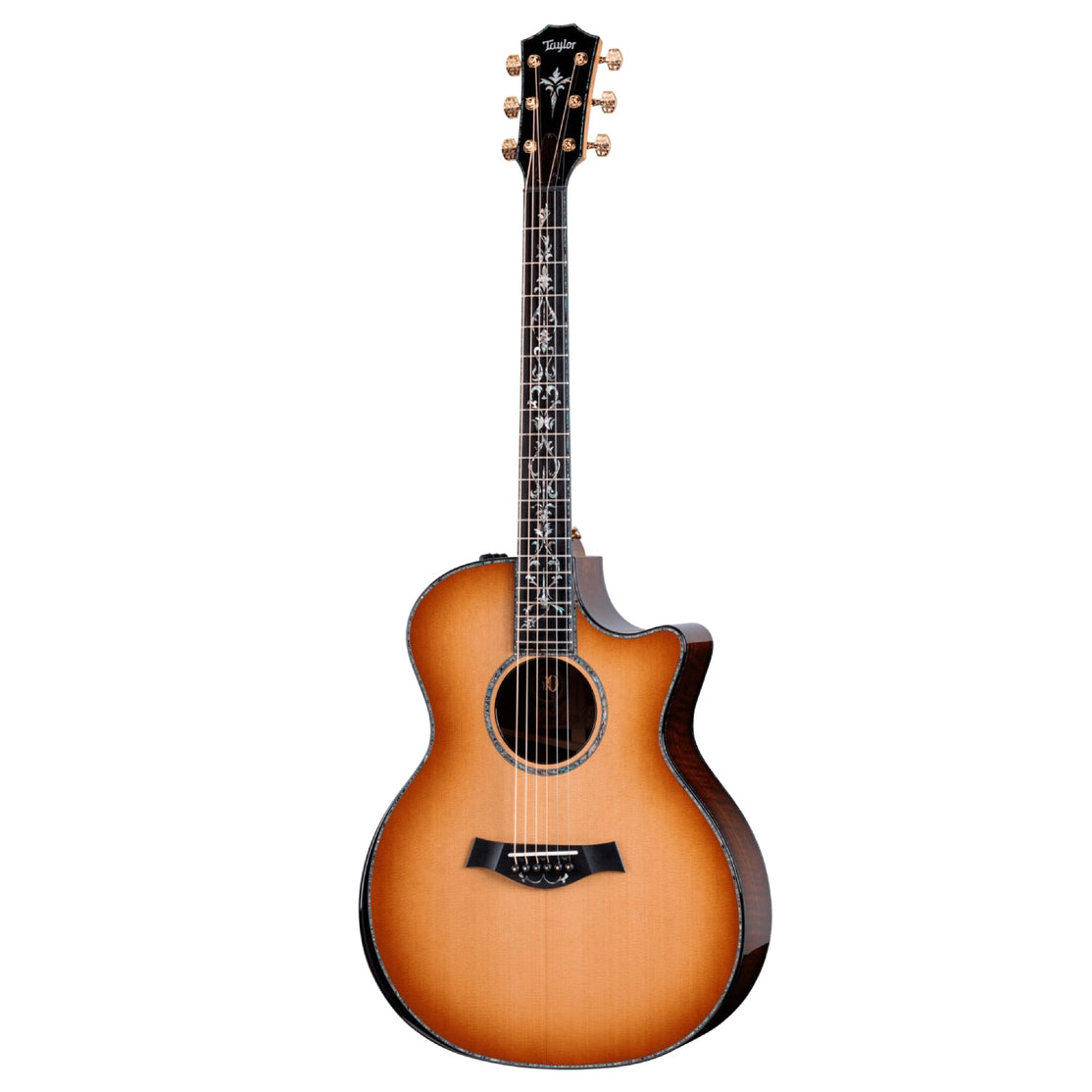 Đàn Guitar Acoustic Taylor 50th Anniversary PS14ce LTD & Circa 74 Amp-Mai Nguyên Music