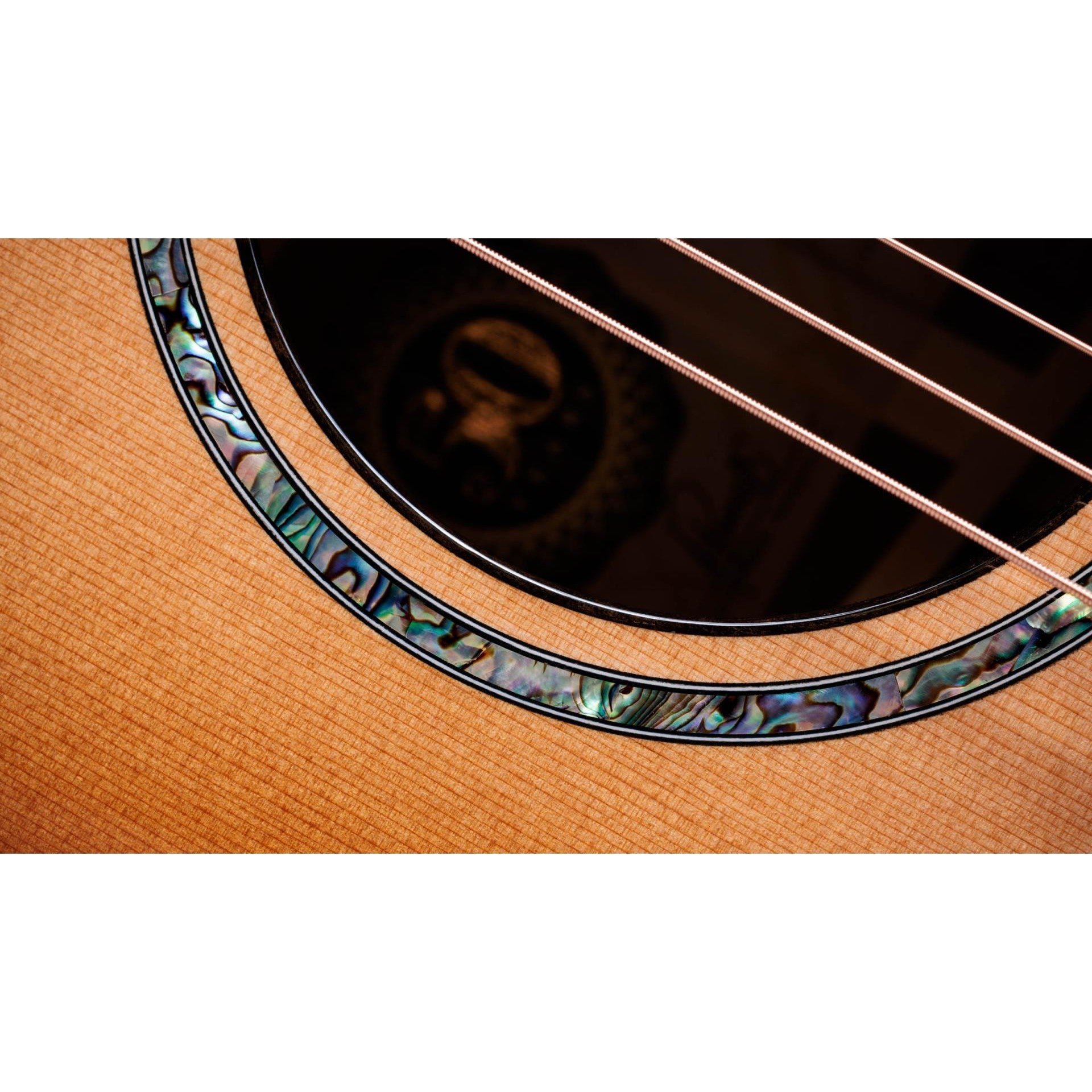 Đàn Guitar Acoustic Taylor 50th Anniversary PS14ce LTD & Circa 74 Amp-Mai Nguyên Music