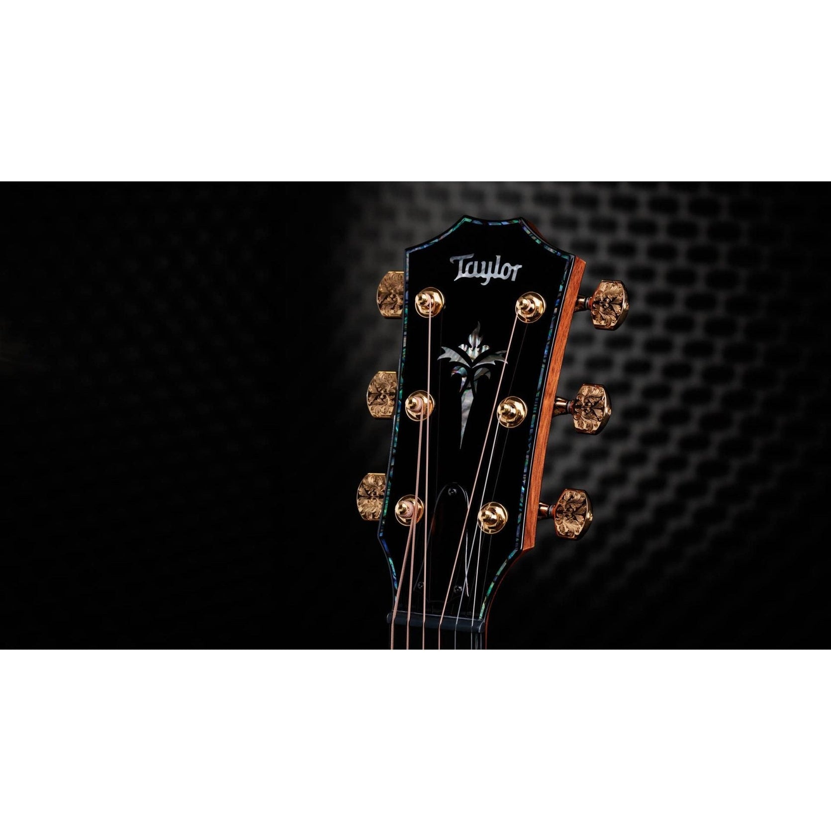 Đàn Guitar Acoustic Taylor 50th Anniversary PS14ce LTD-Mai Nguyên Music