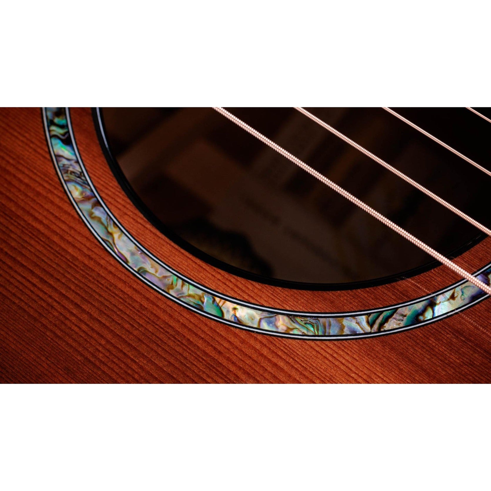 Đàn Guitar Acoustic Taylor 50th Anniversary PS14ce LTD-Mai Nguyên Music