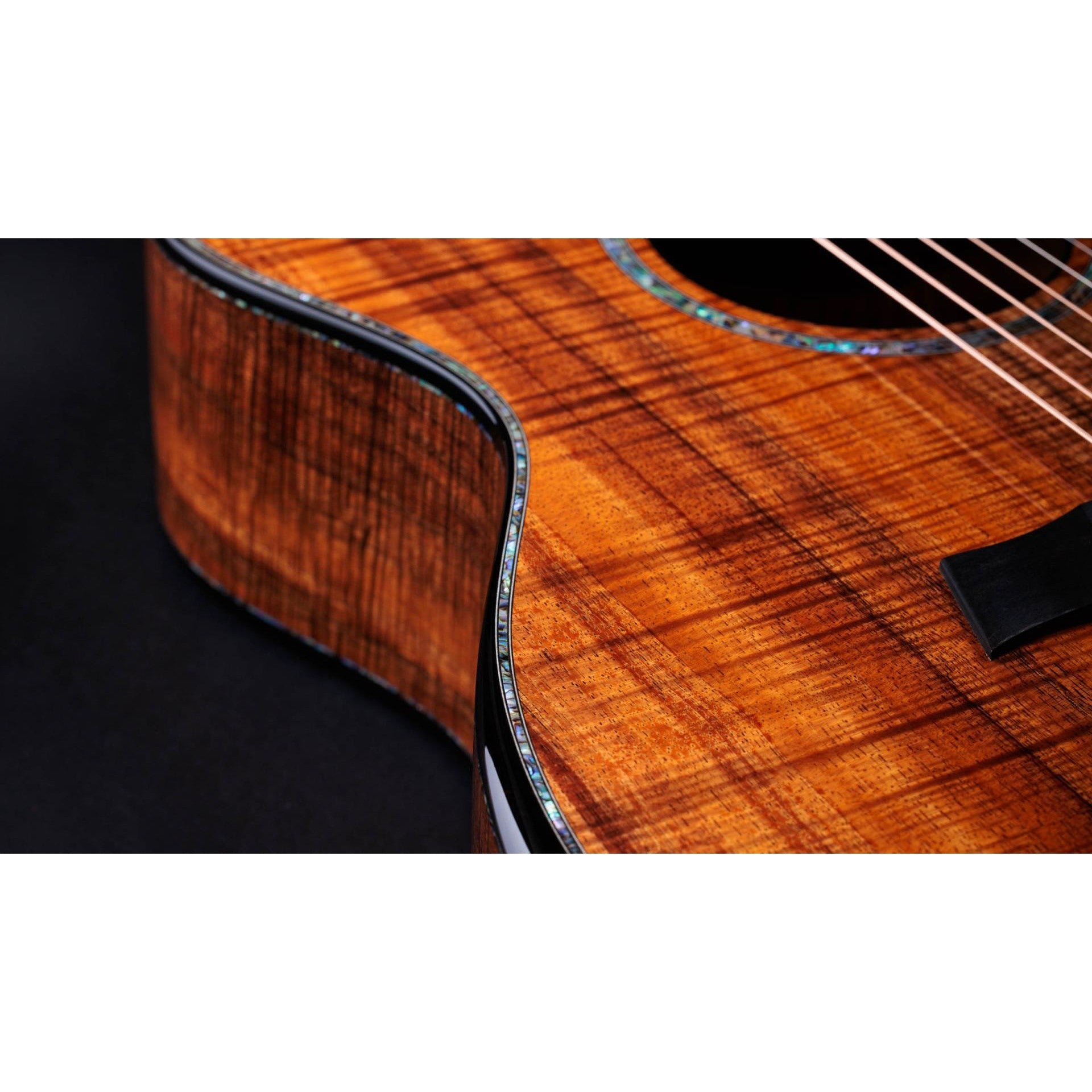 Đàn Guitar Acoustic Taylor 50th Anniversary PS24ce LTD & Circa 74 Amp-Mai Nguyên Music