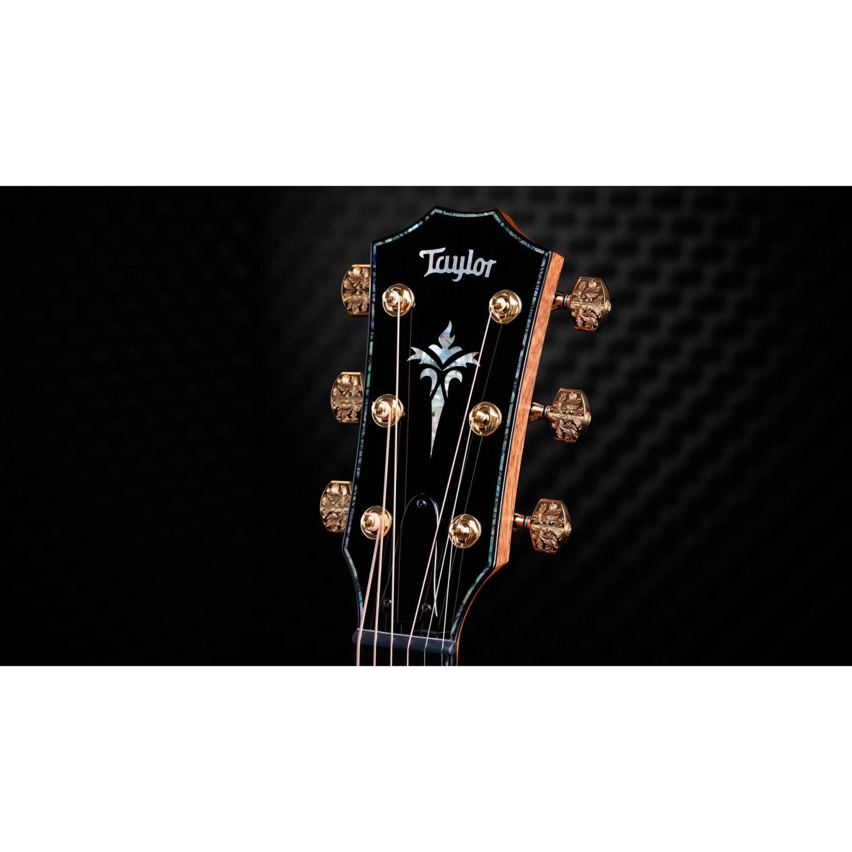 Đàn Guitar Acoustic Taylor 50th Anniversary PS24ce LTD & Circa 74 Amp-Mai Nguyên Music