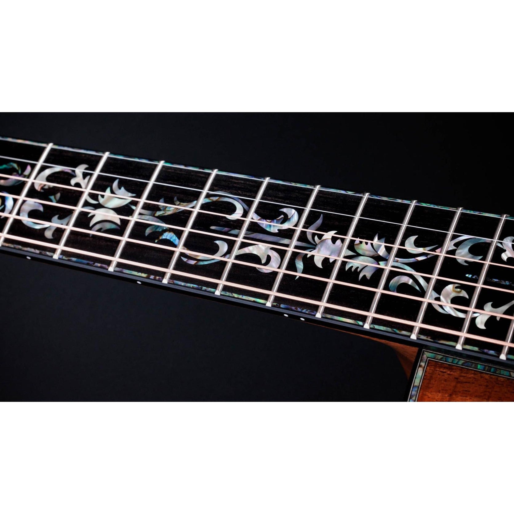 Đàn Guitar Acoustic Taylor 50th Anniversary PS24ce LTD & Circa 74 Amp-Mai Nguyên Music