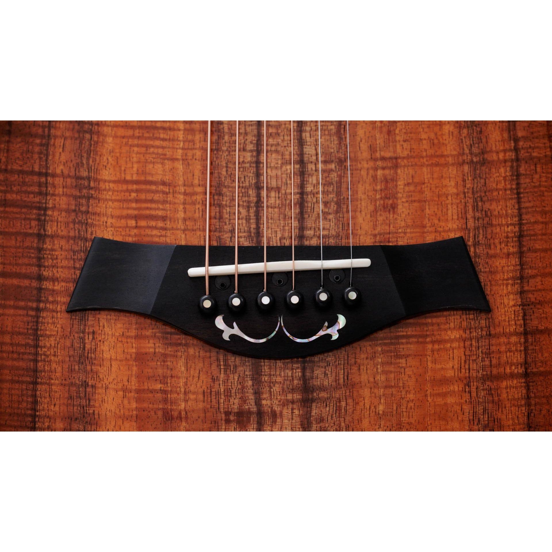 Đàn Guitar Acoustic Taylor 50th Anniversary PS24ce LTD & Circa 74 Amp-Mai Nguyên Music