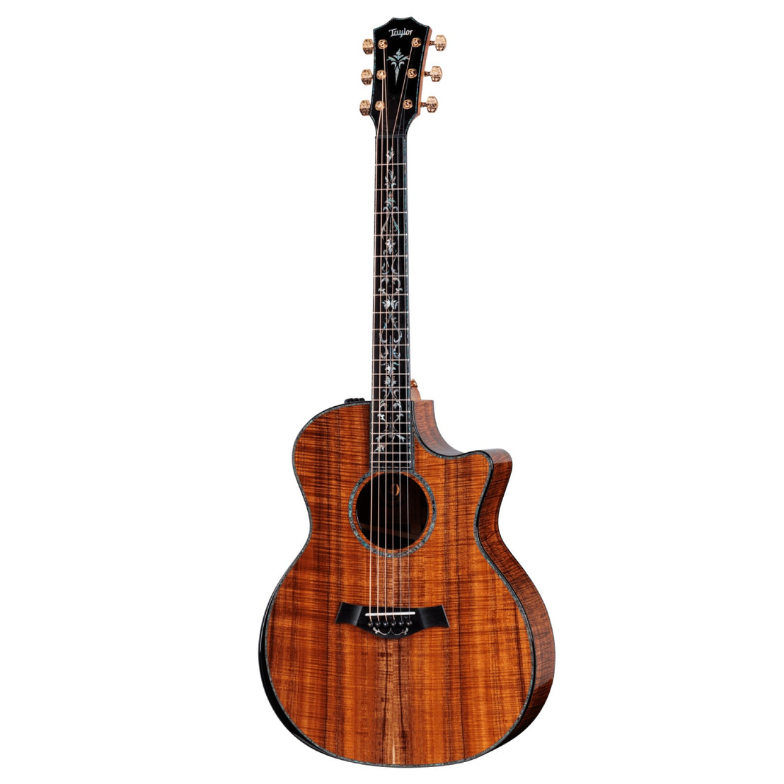 Đàn Guitar Acoustic Taylor 50th Anniversary PS24ce LTD & Circa 74 Amp-Mai Nguyên Music