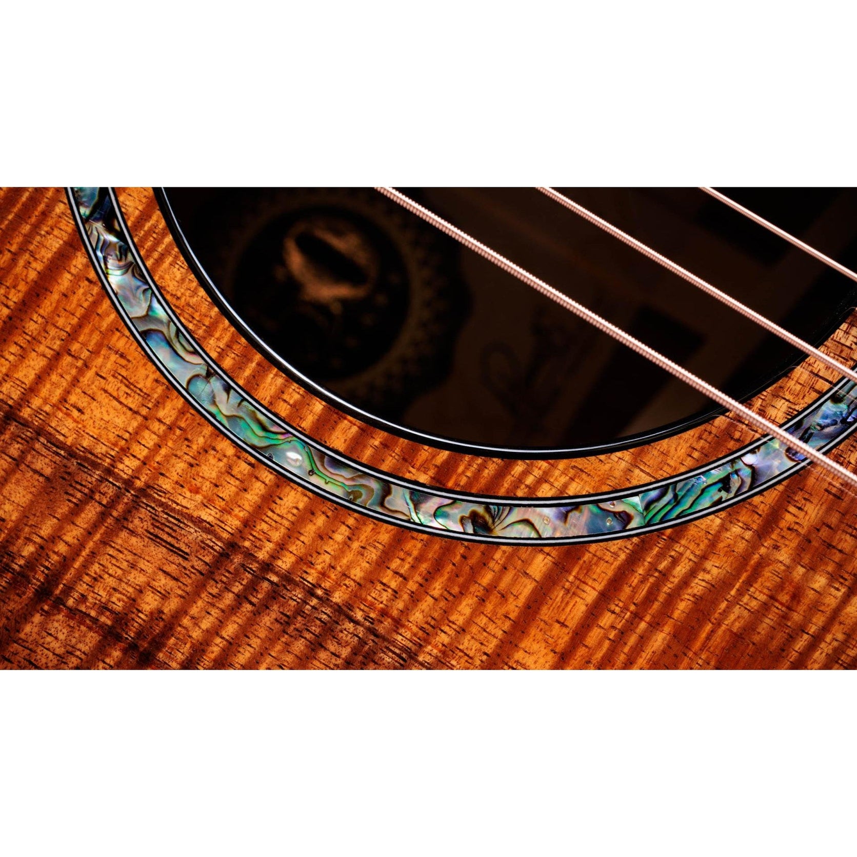 Đàn Guitar Acoustic Taylor 50th Anniversary PS24ce LTD & Circa 74 Amp-Mai Nguyên Music