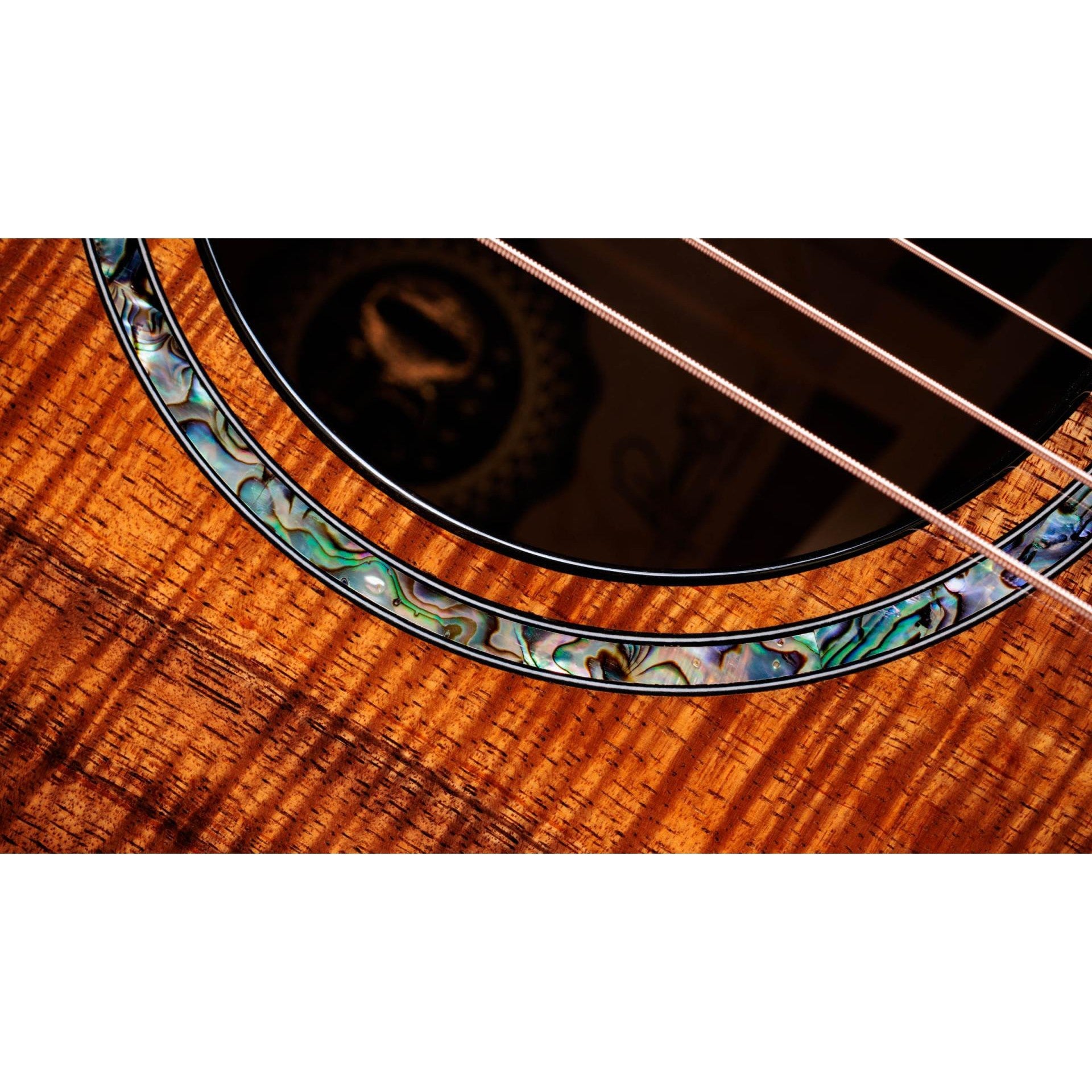 Đàn Guitar Acoustic Taylor 50th Anniversary PS24ce LTD & Circa 74 Amp-Mai Nguyên Music