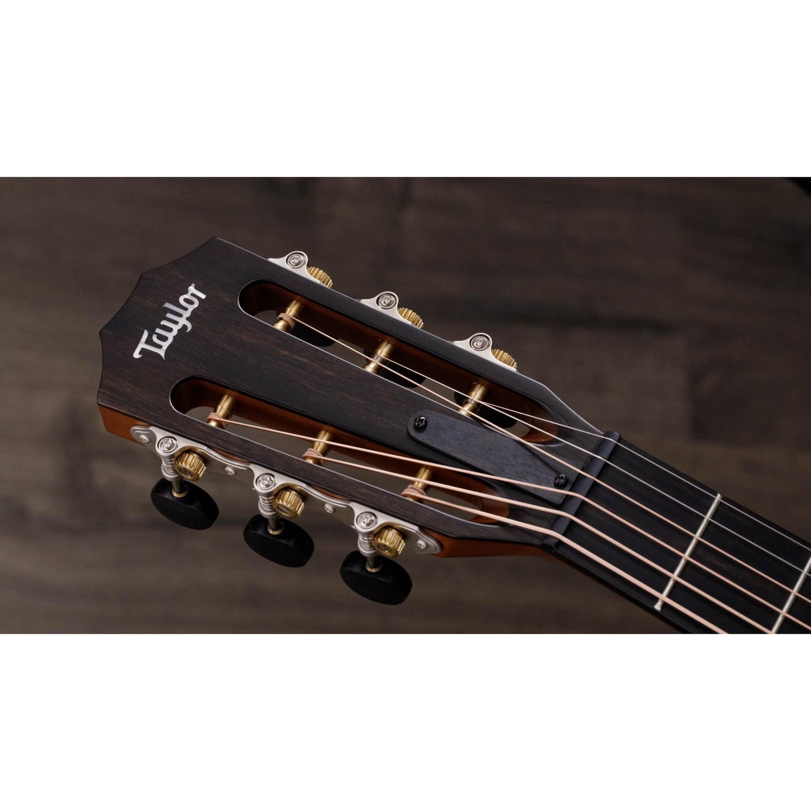 Đàn Guitar Acoustic Taylor 512ce 12-Fret Urban Ironbark-Mai Nguyên Music