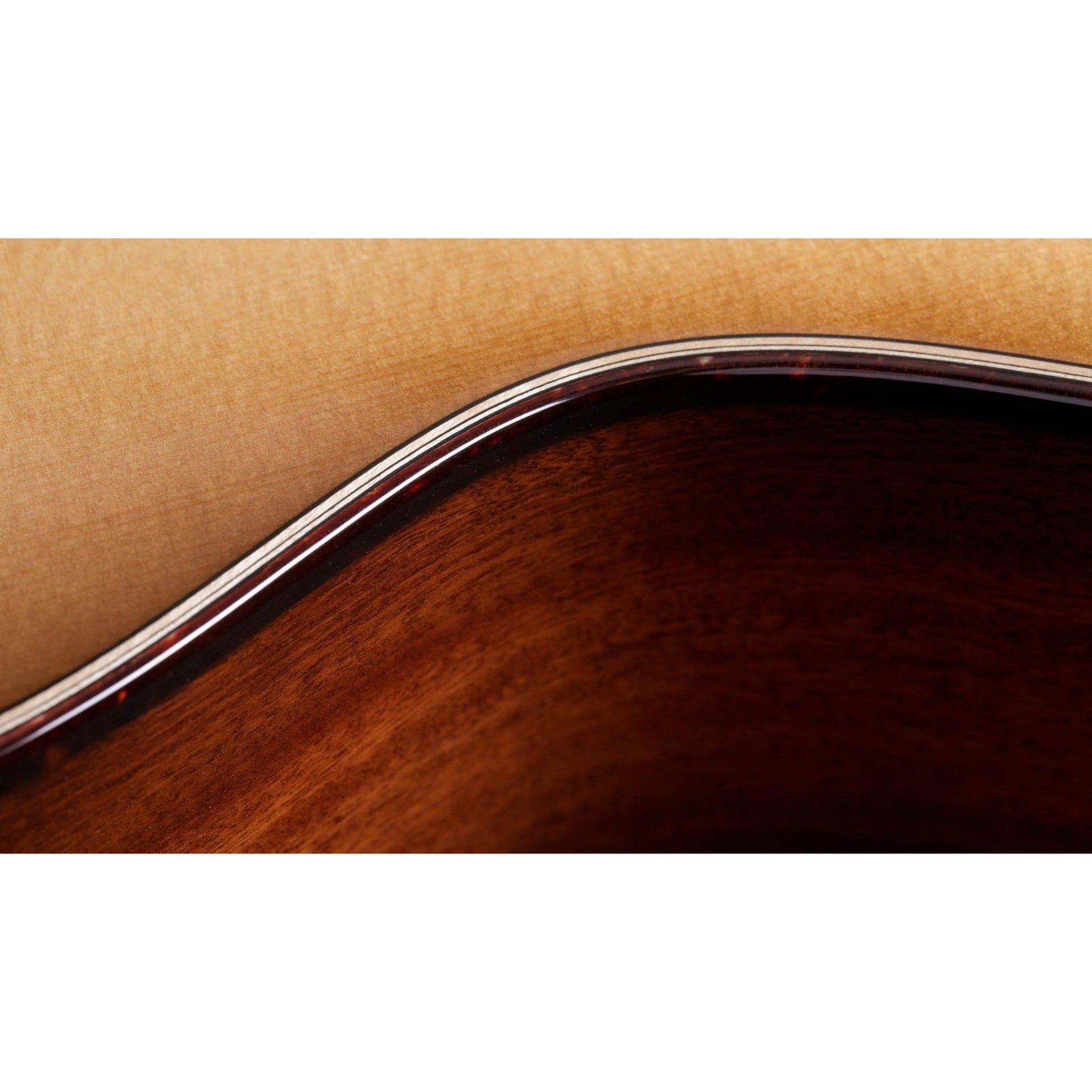 Đàn Guitar Acoustic Taylor 512ce 12-Fret Urban Ironbark-Mai Nguyên Music