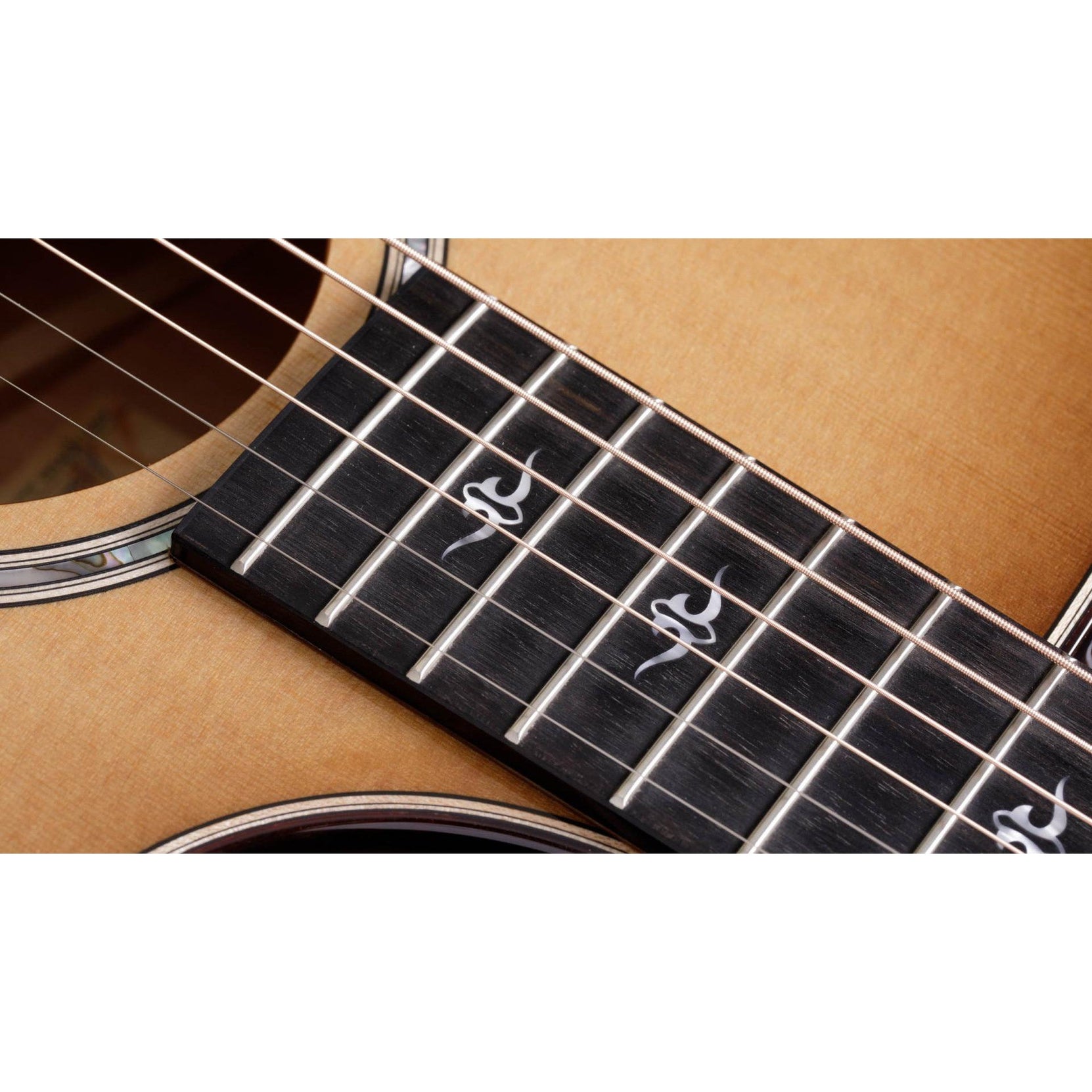 Đàn Guitar Acoustic Taylor 512ce 12-Fret Urban Ironbark-Mai Nguyên Music
