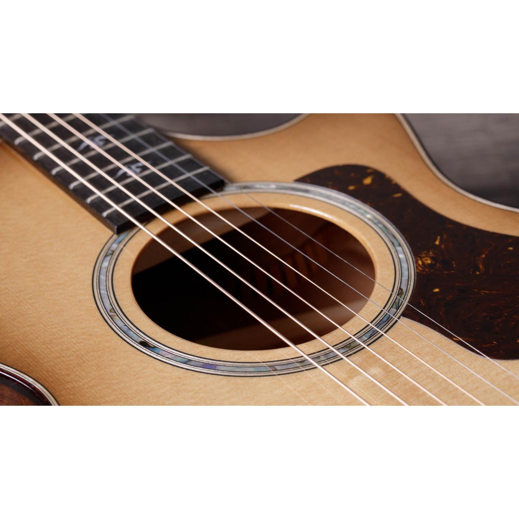 Đàn Guitar Acoustic Taylor 512ce 12-Fret Urban Ironbark-Mai Nguyên Music