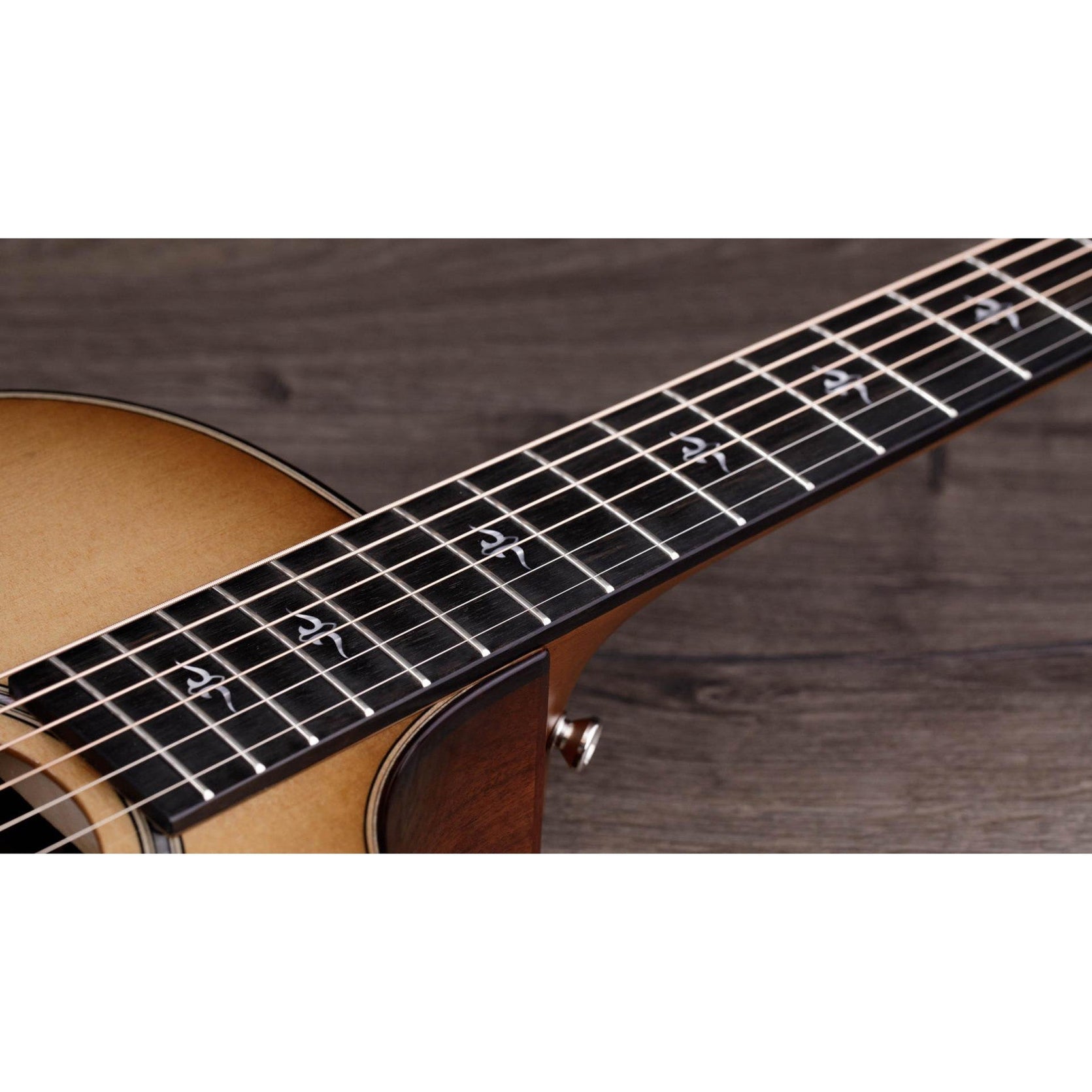 Đàn Guitar Acoustic Taylor 512ce 12-Fret Urban Ironbark-Mai Nguyên Music