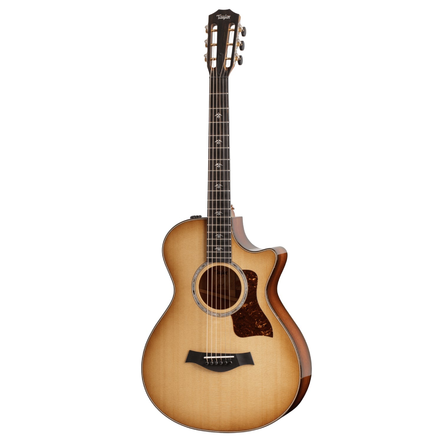 Đàn Guitar Acoustic Taylor 512ce 12-Fret Urban Ironbark-Mai Nguyên Music