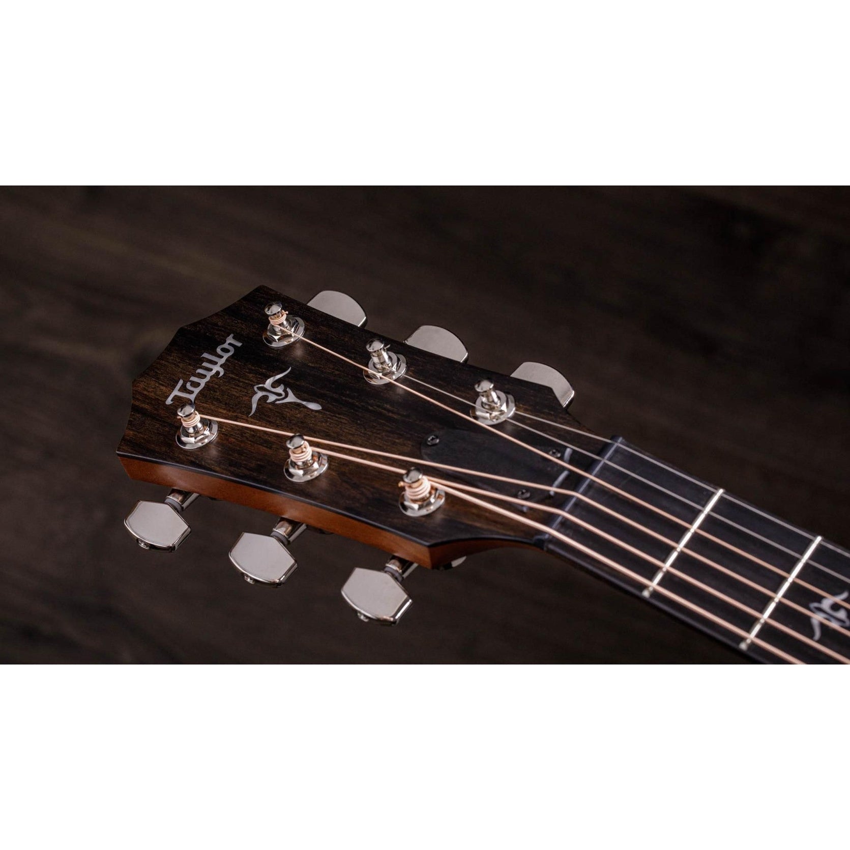 Đàn Guitar Acoustic Taylor 512ce w/Hardshell Case-Mai Nguyên Music