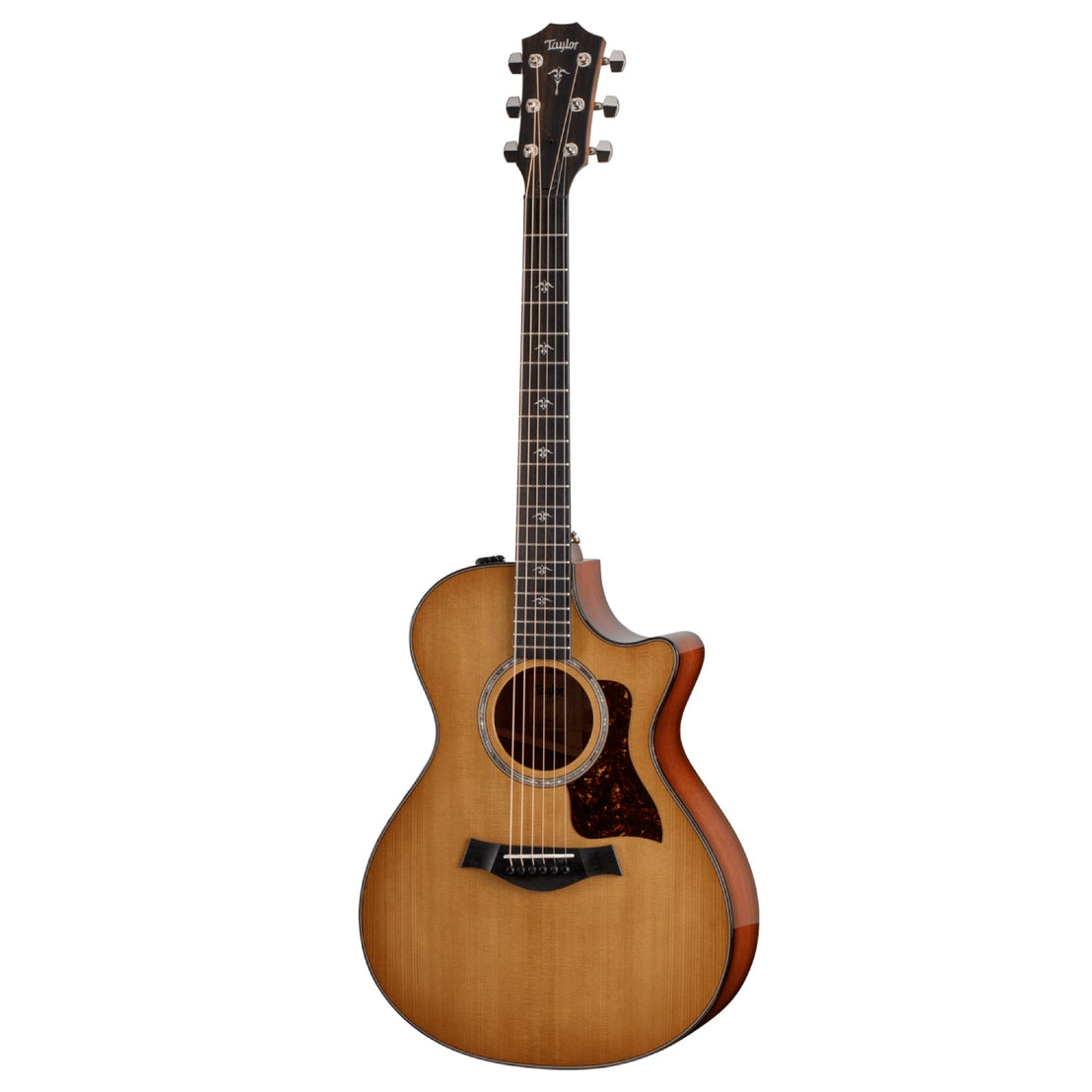 Đàn Guitar Acoustic Taylor 512ce w/Hardshell Case-Mai Nguyên Music