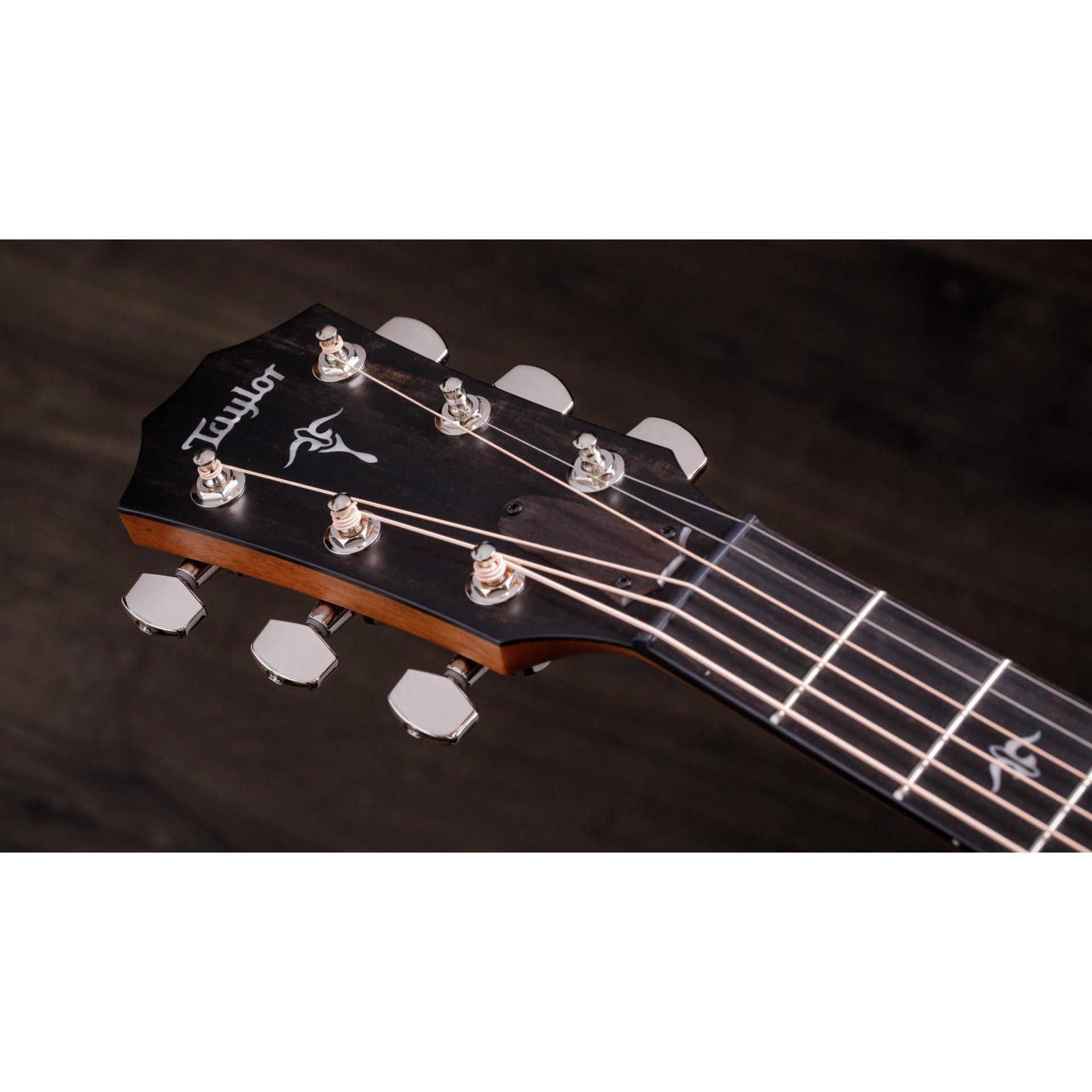 Đàn Guitar Acoustic Taylor 514ce w/Hardshell Case-Mai Nguyên Music