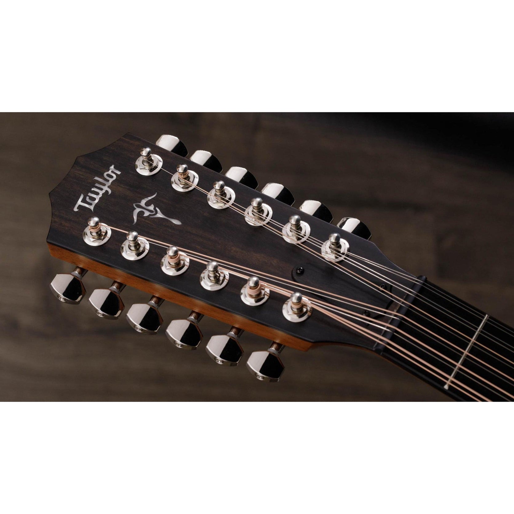 Đàn Guitar Acoustic Taylor 552ce w/Hardshell Case-Mai Nguyên Music