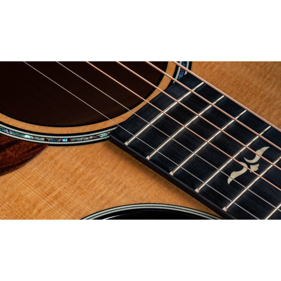 Đàn Guitar Acoustic Taylor 612ce 12-Fret w/Case-Mai Nguyên Music