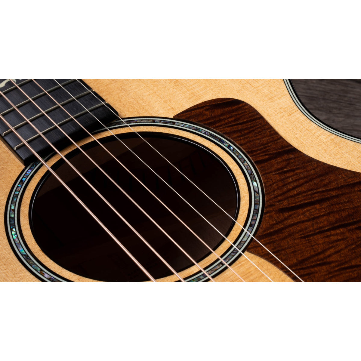 Đàn Guitar Acoustic Taylor 612ce 12-Fret w/Case-Mai Nguyên Music