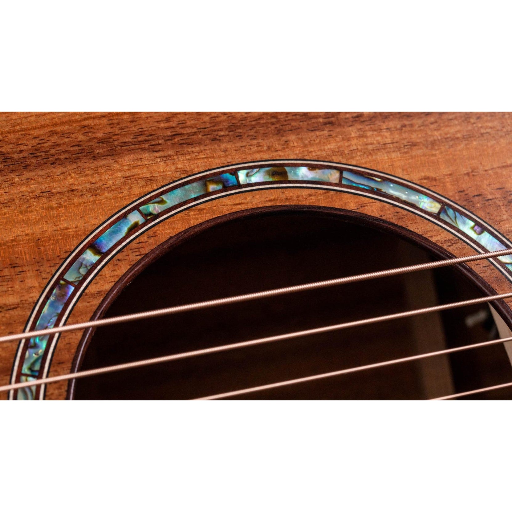 Đàn Guitar Acoustic Taylor 724ce w/Hardshell Case-Mai Nguyên Music