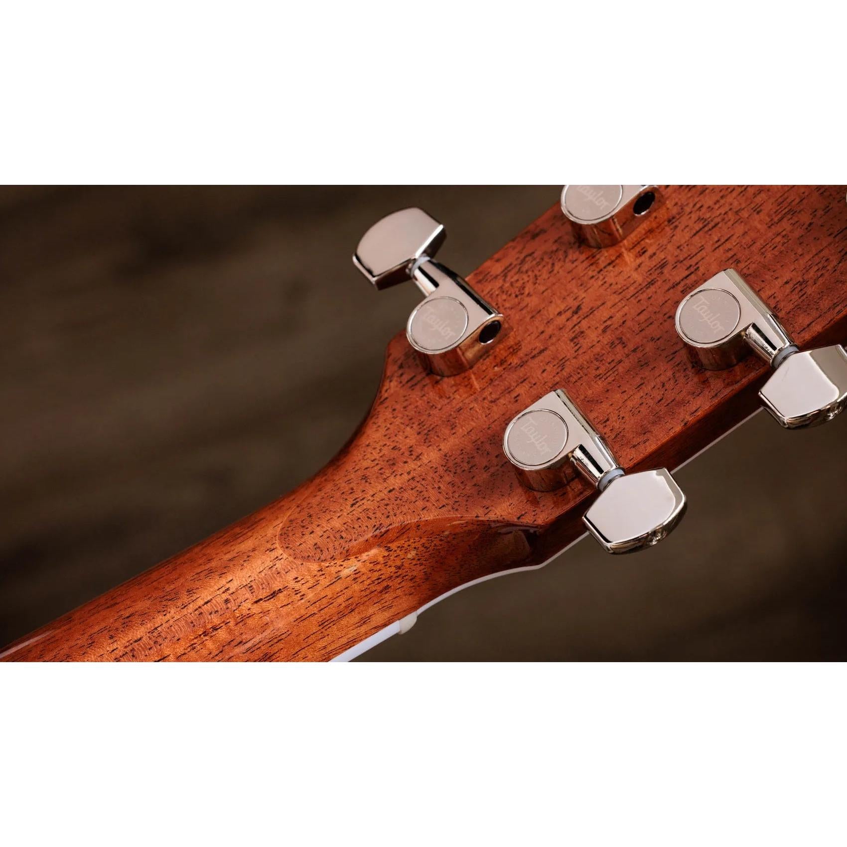 Đàn Guitar Acoustic Taylor 810e Legacy - Natural-Mai Nguyên Music