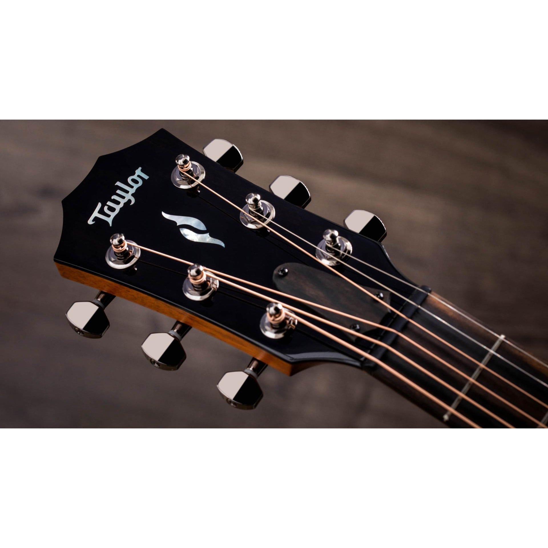 Đàn Guitar Acoustic Taylor 811e Grand Theater-Mai Nguyên Music