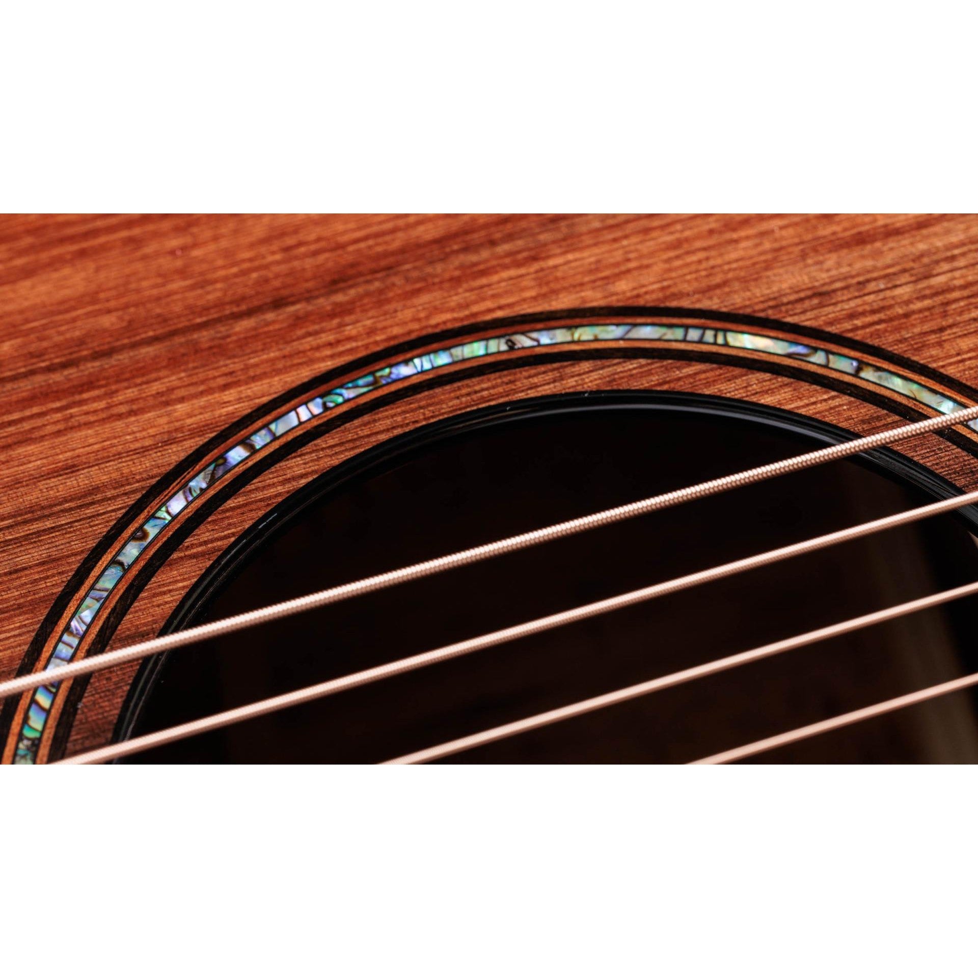 Đàn Guitar Acoustic Taylor 914ce Builder's Edition-Mai Nguyên Music