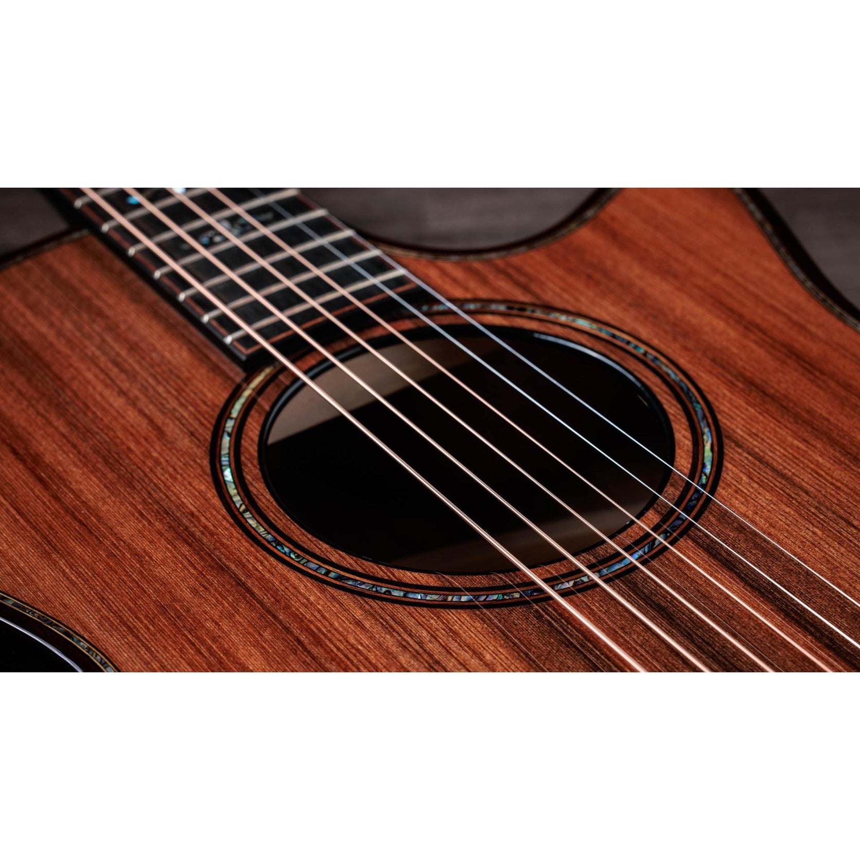 Đàn Guitar Acoustic Taylor 914ce Builder's Edition-Mai Nguyên Music