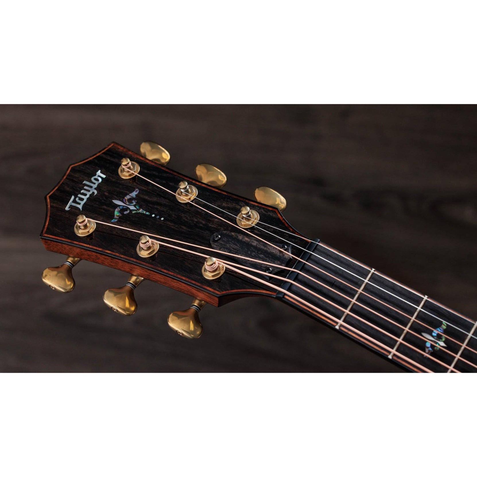 Đàn Guitar Acoustic Taylor 914ce Builder's Edition-Mai Nguyên Music
