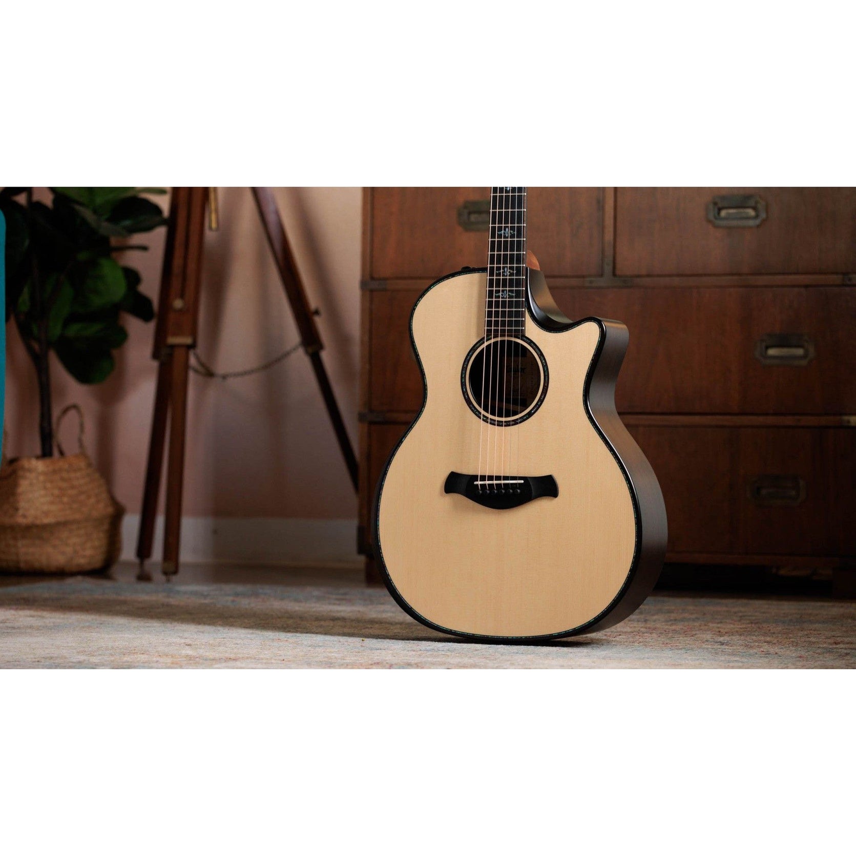 Đàn Guitar Acoustic Taylor 914ce Builder's Edition-Mai Nguyên Music