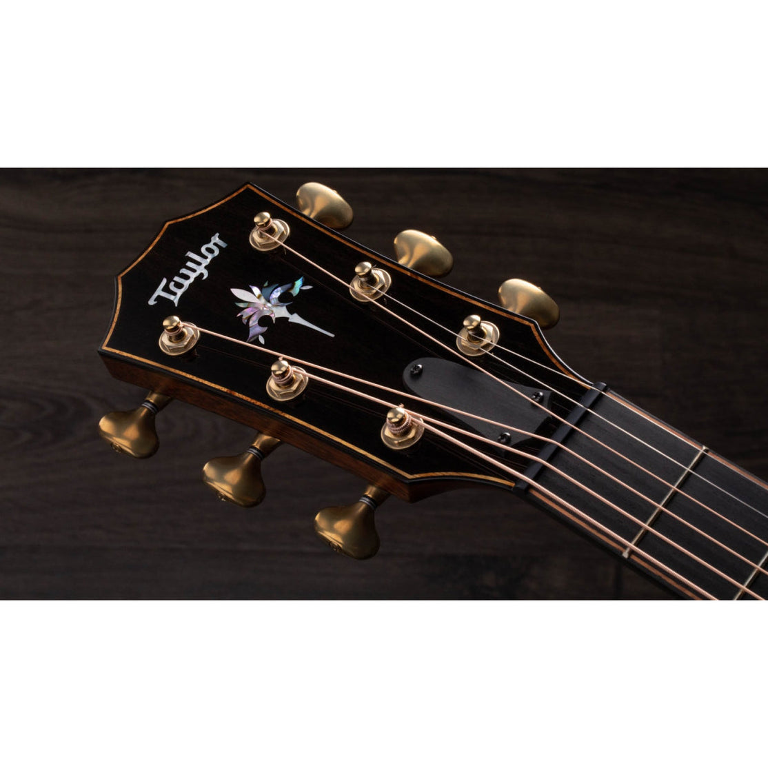 Đàn Guitar Acoustic Taylor 914ce w/Case-Mai Nguyên Music