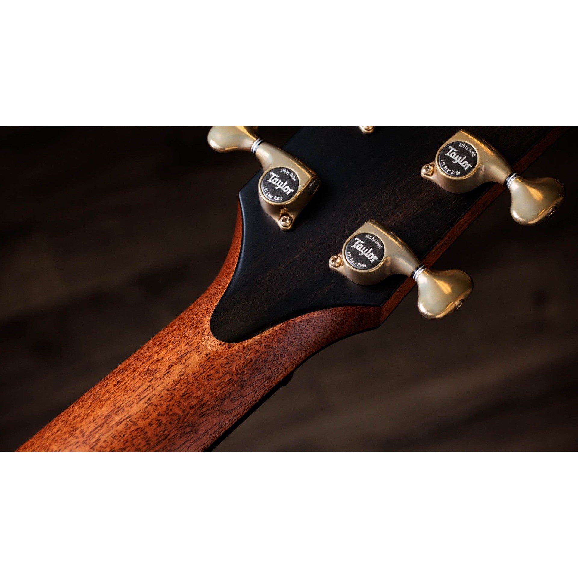 Đàn Guitar Acoustic Taylor 914ce WHB Builder's Edition-Mai Nguyên Music