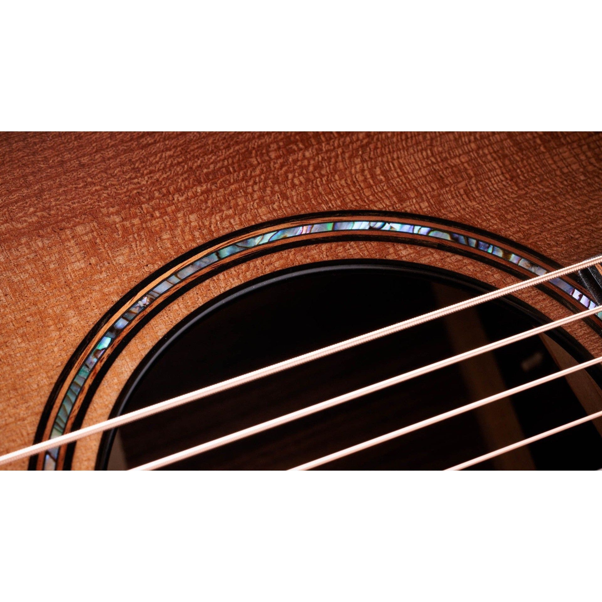 Đàn Guitar Acoustic Taylor 914ce WHB Builder's Edition-Mai Nguyên Music
