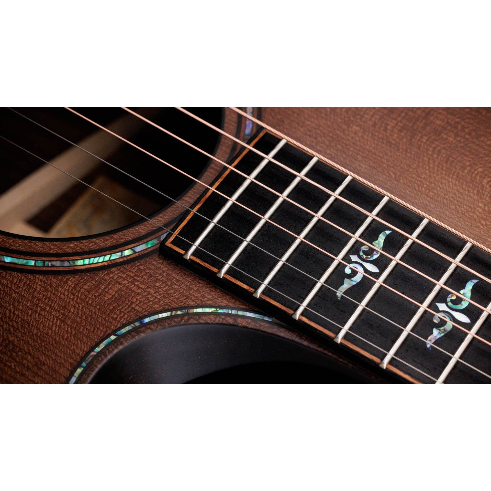 Đàn Guitar Acoustic Taylor 914ce WHB Builder's Edition-Mai Nguyên Music
