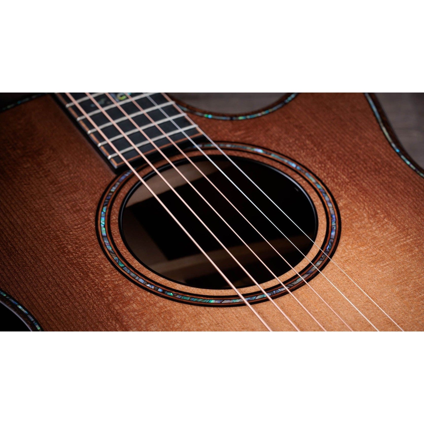 Đàn Guitar Acoustic Taylor 914ce WHB Builder's Edition-Mai Nguyên Music