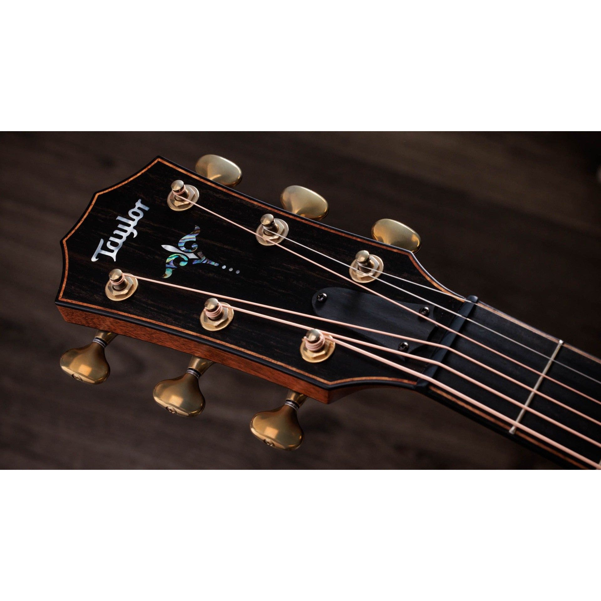 Đàn Guitar Acoustic Taylor 914ce WHB Builder's Edition-Mai Nguyên Music