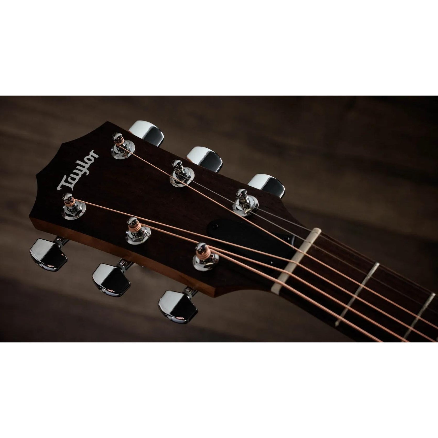 Đàn Guitar Acoustic Taylor Academy 10e Limited-Edition - Natural-Mai Nguyên Music