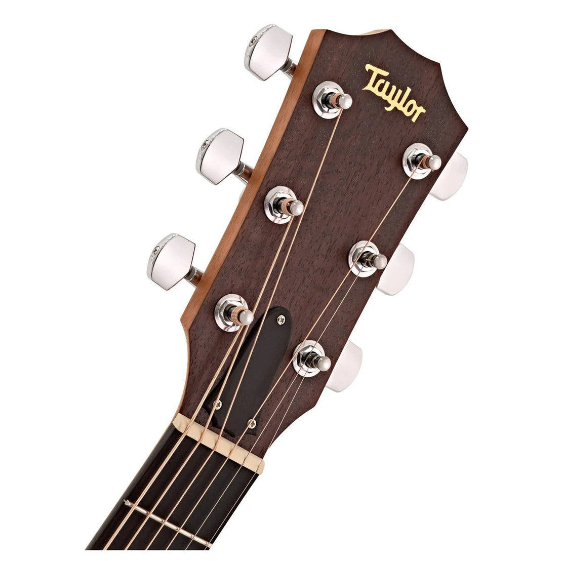 Đàn Guitar Acoustic Taylor Academy A10 w/Bag-Mai Nguyên Music
